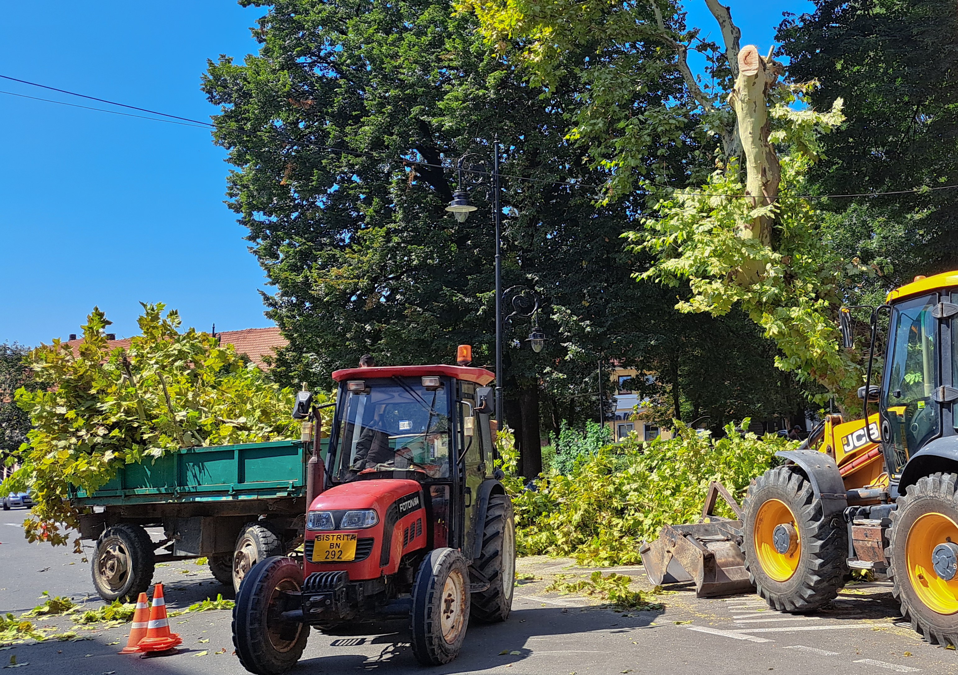 Lucrări de toaletare arbori pe Aleea Greuceanu