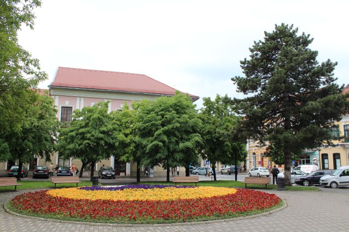 Primăria Bistrița - Primăria